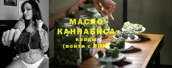 амф Гусиноозёрск