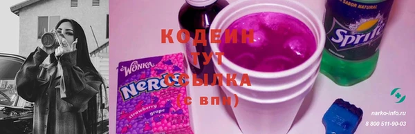 амф Гусиноозёрск