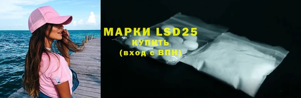 амф Гусиноозёрск