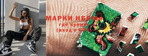 амф Гусиноозёрск