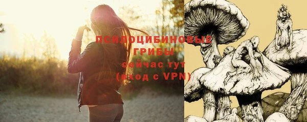 героин Горняк
