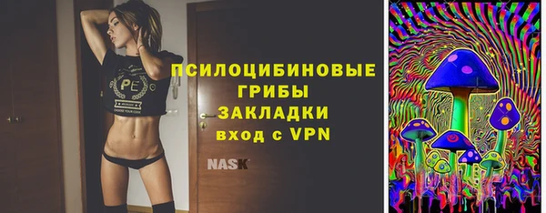 амф Гусиноозёрск