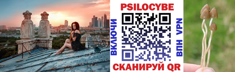 Псилоцибиновые грибы Magic Shrooms  Купить где  Киренск 